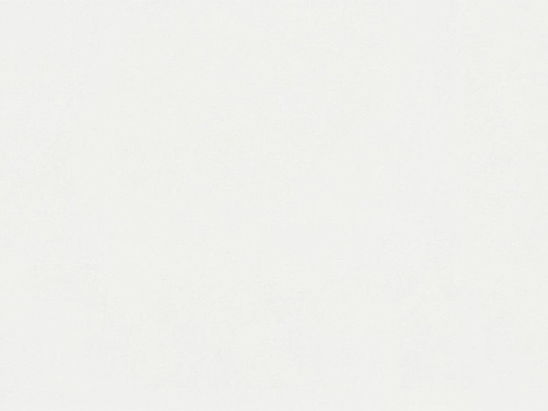 Lambris revêtu Meister gamme Bocado DP 200 décor n°387 - Blanc classic