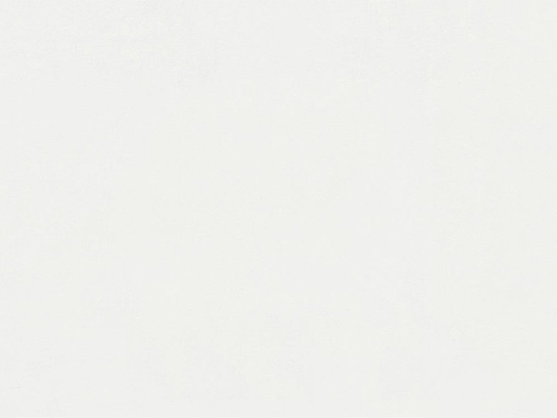 Lambris revêtu Meister gamme Bocado DP 250 décor n°324 - Blanc uni brillant FD