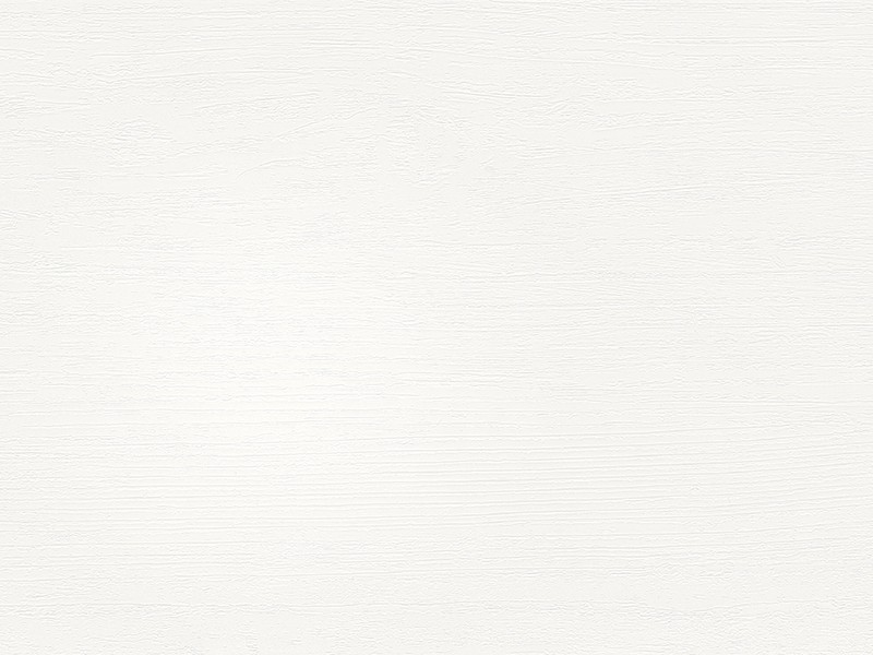 Lambris revêtu Meister gamme Terra DP 250 décor n°20099 - Vintage white