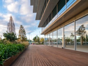 Terrasse réalisée avec des lames Dasso CTECH MAX en fibres de bambou compressées et imprégnées CeramiX, offrant haute densité et durabilité.