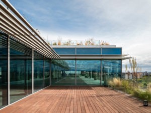 Terrasse réalisée avec des lames Dasso CTECH MAX en fibres de bambou compressées et imprégnées CeramiX, offrant haute densité et durabilité.