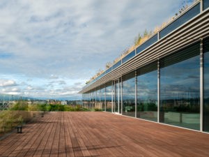 Terrasse réalisée avec des lames Dasso CTECH MAX en fibres de bambou compressées et imprégnées CeramiX, offrant haute densité et durabilité.